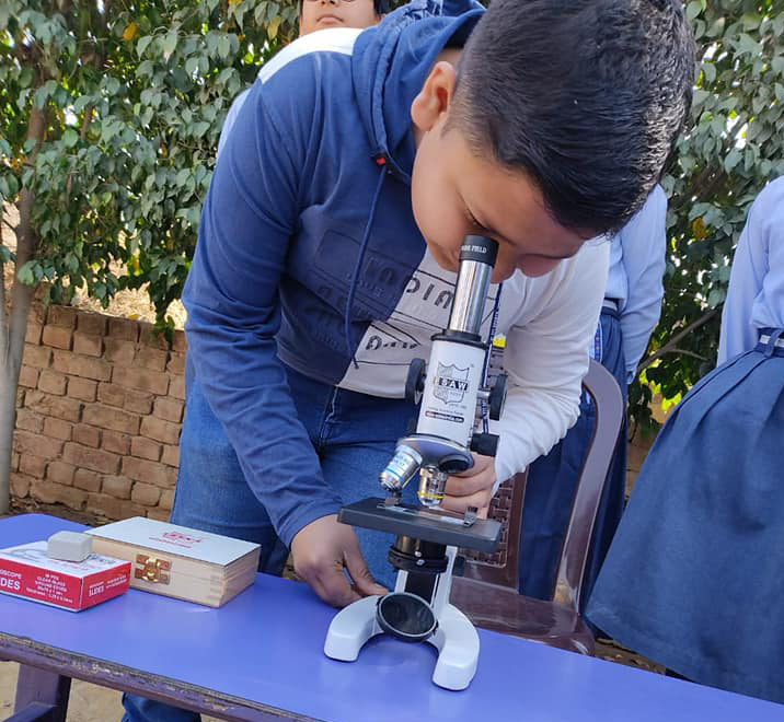 lab activity 4  1 